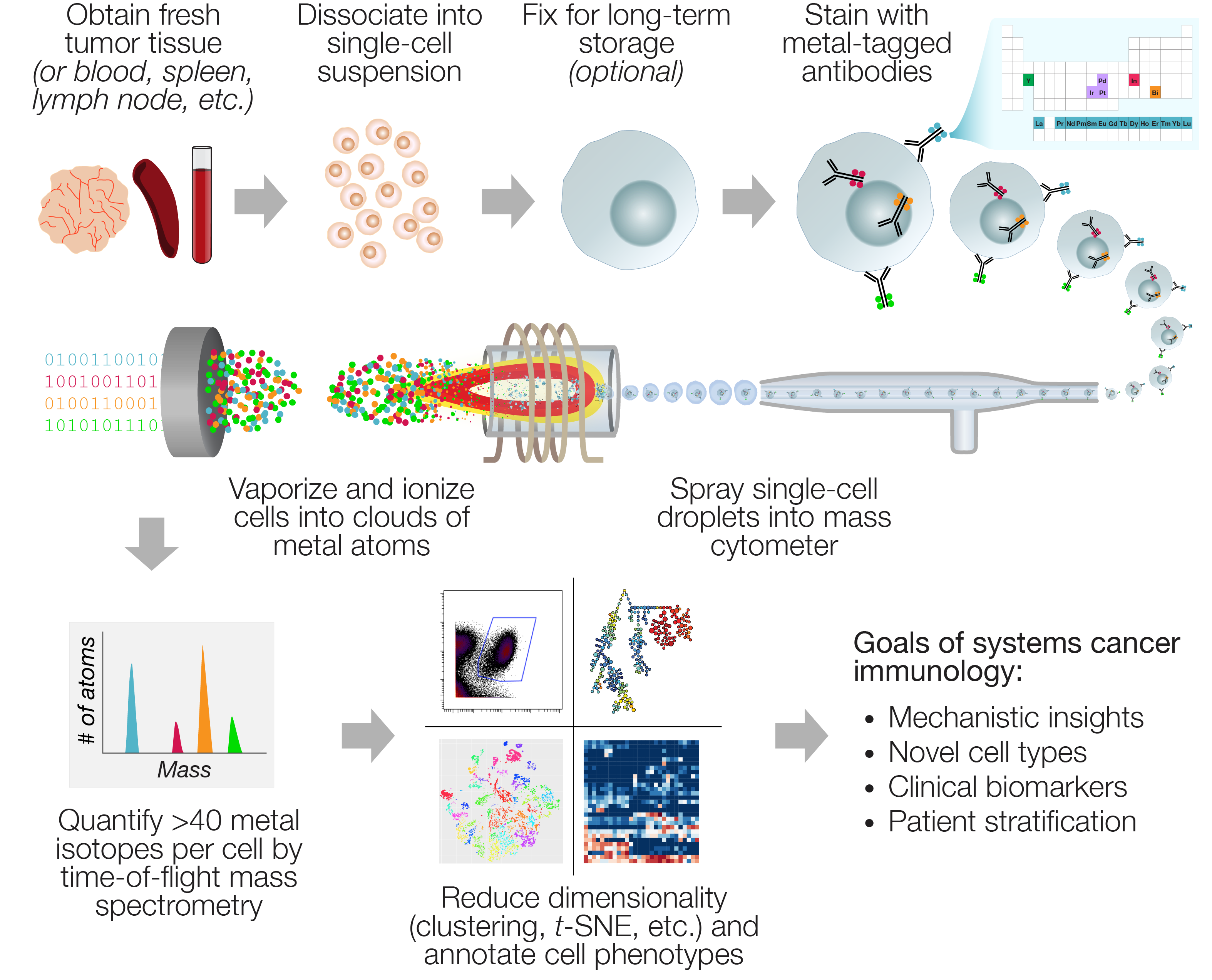 Mass cytometry analysis of tumor and immune tissues informs cancer systems immunology