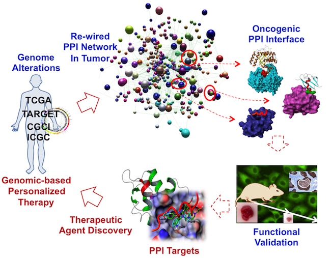 Figure 1: The Emory Center's approach to accelerating genomics-based cancer target and therapeutic discovery