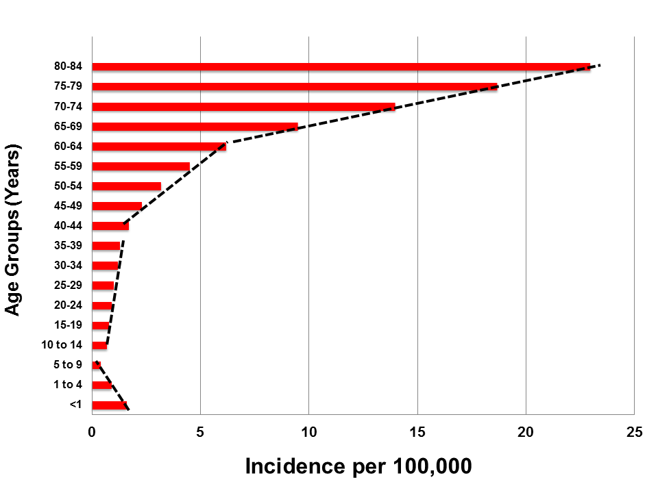 Figure 2: Graph of SEER data on AML incidence in different age groups.