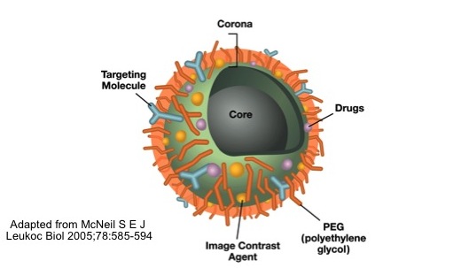 Image showing a functionalized nanoparticle