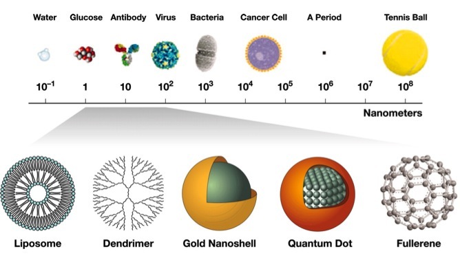 Scale showing examples of nanoparticles that are 1 through 100 nanometers in size, compared to other molecules