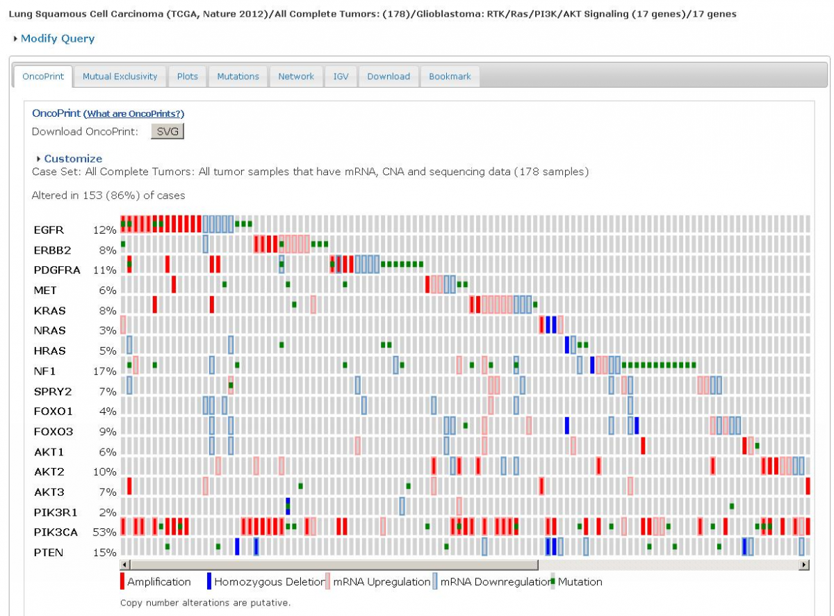 Figure 2: OncoPrint showing alterations in known cancer pathway from a TCGA lung squamous cell carcinoma study