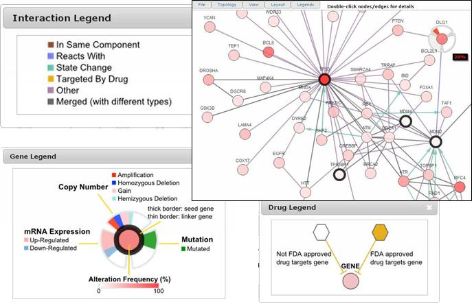 Figure 5: Network map of query genes and 50 of the most altered neighboring genes in cBioPortal