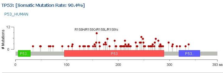 Figure 6: Graphical summary of nonsynonymous mutations mapped to protein domains in cBioPortal