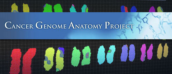 Cancer Genome Anatomy Project