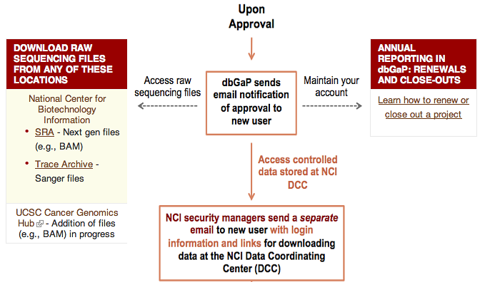 Summary of the process which happens upon user approval