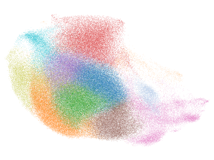UMAP plot of single-cell RNA sequencing data 