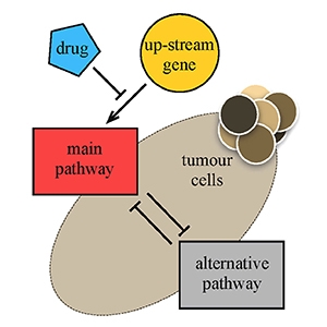 Schematic diagram of the pathway interaction within tumour cells