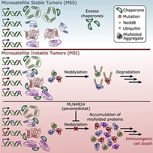 Graphical abstract from McGrail et al., 2020.