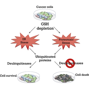 Graphical abstract from Harris, et al (2019).