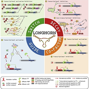 Chiu et al. (2018) Cell Reports. CC BY-NC-ND 4.0