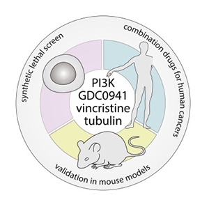 Graphical abstract from Mues et al. (2019).