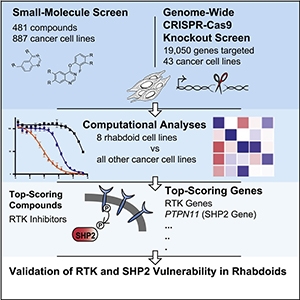 Graphical abstract from Oberlick et al., 2019.