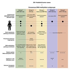 Graphical abstract from Chun, et al (2019).