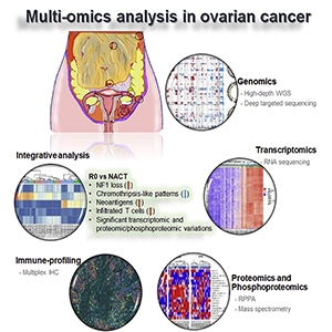 Graphical abstract from Lee et al., 2020.