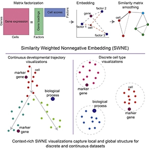 Graphical abstract from Wu et al, 2018.