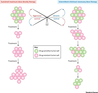 Aggressive Therapy versus Chronic Control of Tumors.