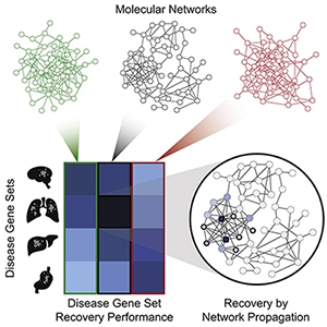 Graphical Abstract from Huang et al., 2018.