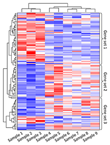 Transcriptomes heatmap example