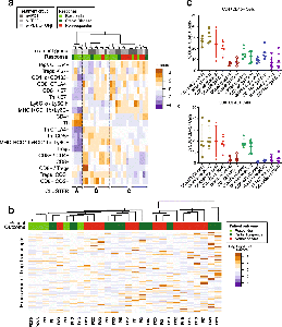 Heterogeneous mechanisms of tumor response to α-PD-1 and α-TGFβ therapy.