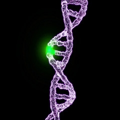 Computer generated image of a DNA strand with a green mark.