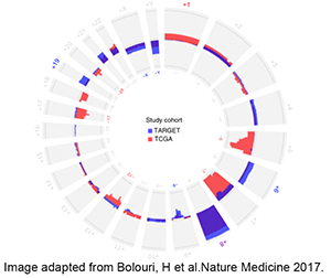 Image adapted from Bolouri H et al. 2017. Nature Medicine.
