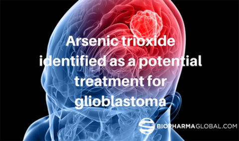 Arsenic trioxide identified as a potential treatment for glioblastoma