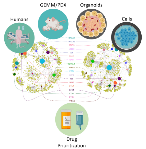 Califano Lab employs systems biology algorithms 