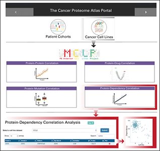  Snapshot of the protein-dependency analytic module in The Cancer Proteome Atlas. The newly added module is highlighted in red boxes.