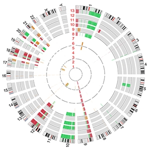 Circos Plot