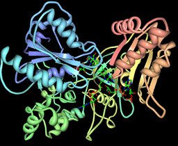 Structure of cytochrome P450