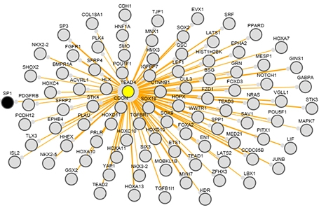 Protein-protein interactions generated using Preppi (v1.0)