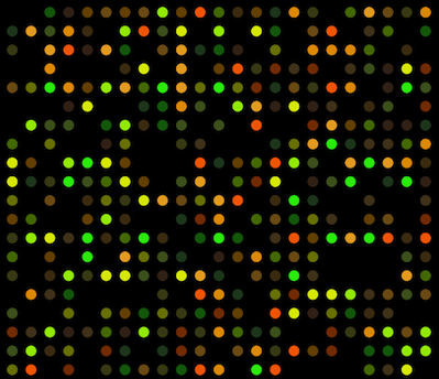 image of a microarray