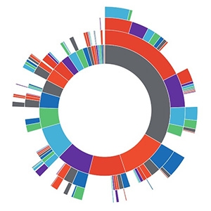 Dependency Map image; Credit: Tom Ulrich