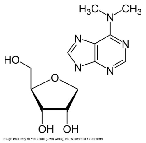 Image of Dimethyladenosine