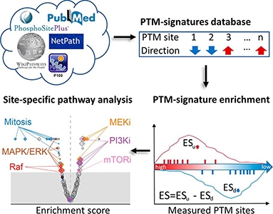 Graphical abstract from Krug et al., 2019.