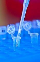 Image by the University of Michigan School of Natural Resources and Environment; used under a Creative Commons license.  