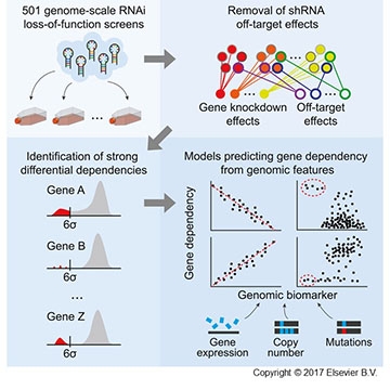 Graphical Abstract from Publication