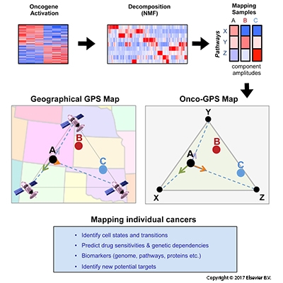 Graphical Abstract of Mapping Individual Cancers