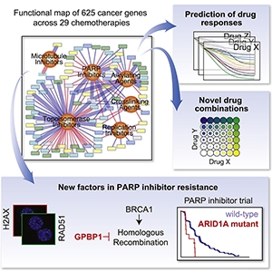 Graphical Abstract from Hu et al., 2018.