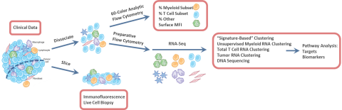 Diagram explaining UCSF's Immunoprofiler 