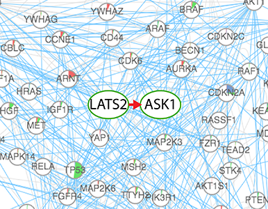 Image generated using http://oncoppi.emory.edu/