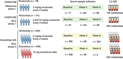 Schematic of study design and serum specimen collection.