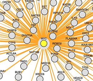 Predicted cMYC interacting proteins