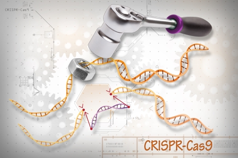 CRISPR-Cas9