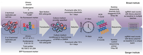 Experimental settings and reagents used in the experimental pipelines underlying the two compared data sets.