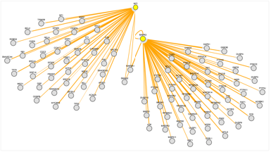 Protein arbor network map of MAP Kinase-3 and Myc 