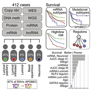 Graphical Abstract by Robertson et al. (2017)