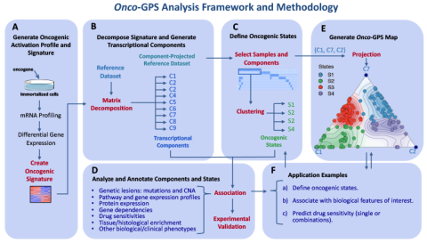 Schematic diagram of Onco-GPS