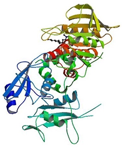 Enzyme encoded by the PTPN11 gene